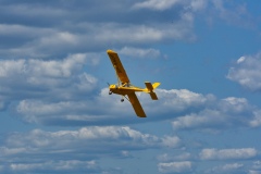 IMGP5490