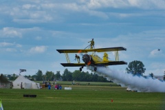 IMGP5533