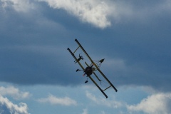 IMGP5547
