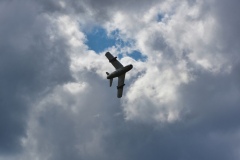 IMGP5583