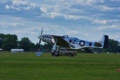 IMGP5587