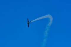 IMGP5717