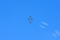 IMGP5767