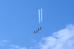 IMGP5775