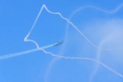 IMGP5858