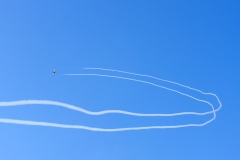 IMGP5875