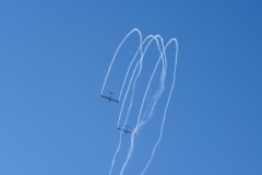 IMGP5908