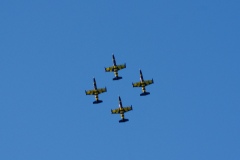 IMGP5925