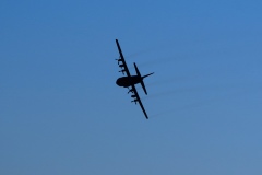 IMGP5996