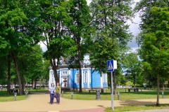 IMGP6189