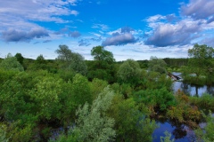 IMGP6234