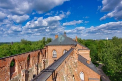 IMGP6274