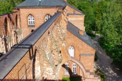 IMGP6275