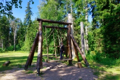 IMGP6392