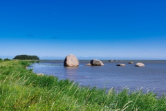 IMGP6396