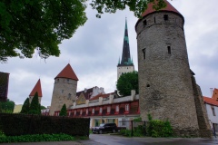 IMGP6447