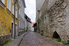 IMGP6450