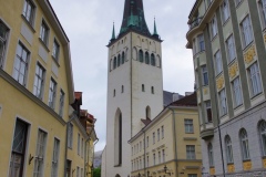 IMGP6452