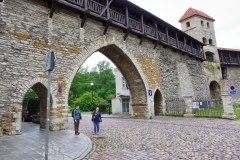 IMGP6462