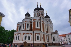 IMGP6471