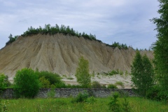 IMGP6518
