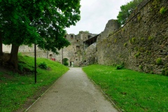 IMGP6524