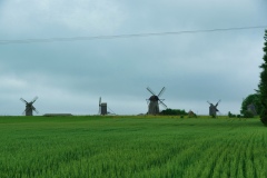 IMGP6536