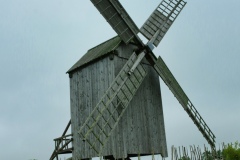 IMGP6557