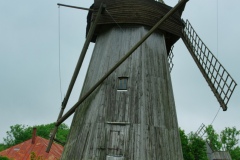 IMGP6558