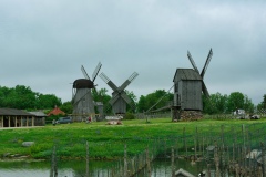 IMGP6564