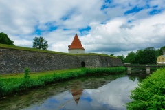 IMGP6594
