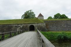 IMGP6595