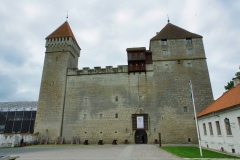 IMGP6598