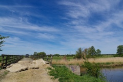 IMGP5186