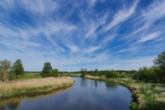 IMGP5188
