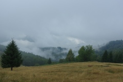 IMGP6846