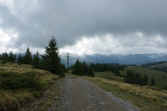 IMGP6855