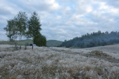 IMGP6876
