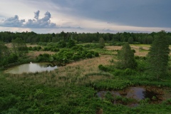 IMGP3934