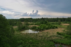 IMGP3936