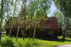 IMGP5343