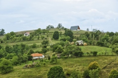 IMGP6731