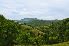 IMGP6732