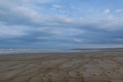 DSCF7253