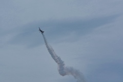 IMGP2305