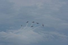 IMGP2398