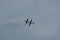 IMGP2410