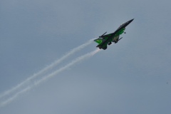 IMGP2412
