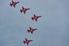 IMGP2454