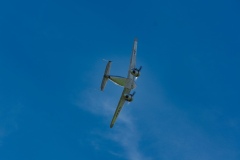 IMGP9915